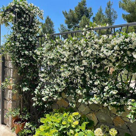 Villa Pine バール エクステリア 写真