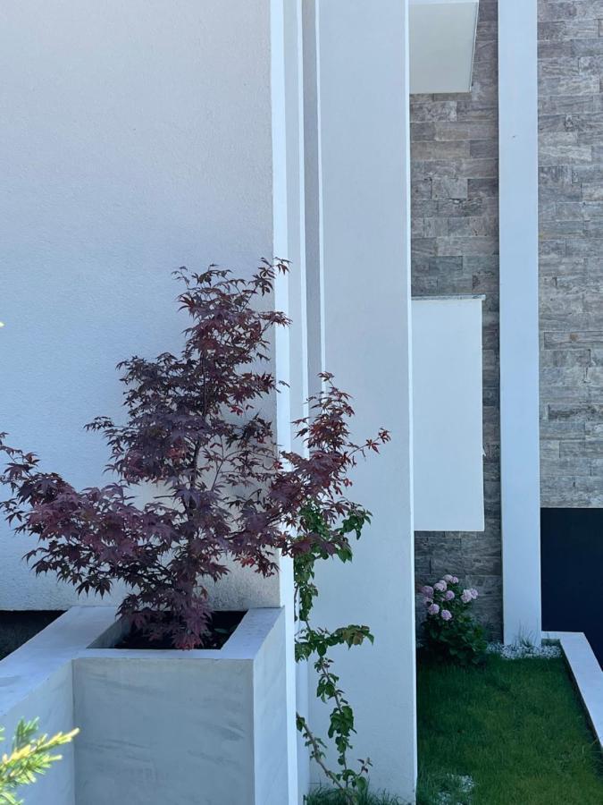 Villa Pine バール エクステリア 写真