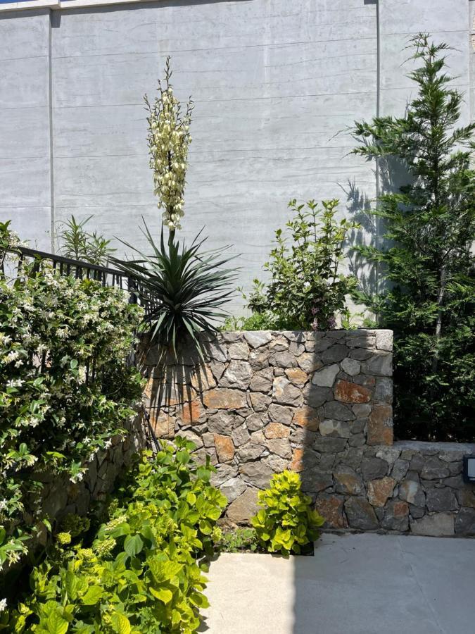 Villa Pine バール エクステリア 写真